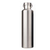 Vert Cirrus Water Bottle - Silver