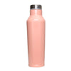 Vert Amazon Water Bottle - Pink
